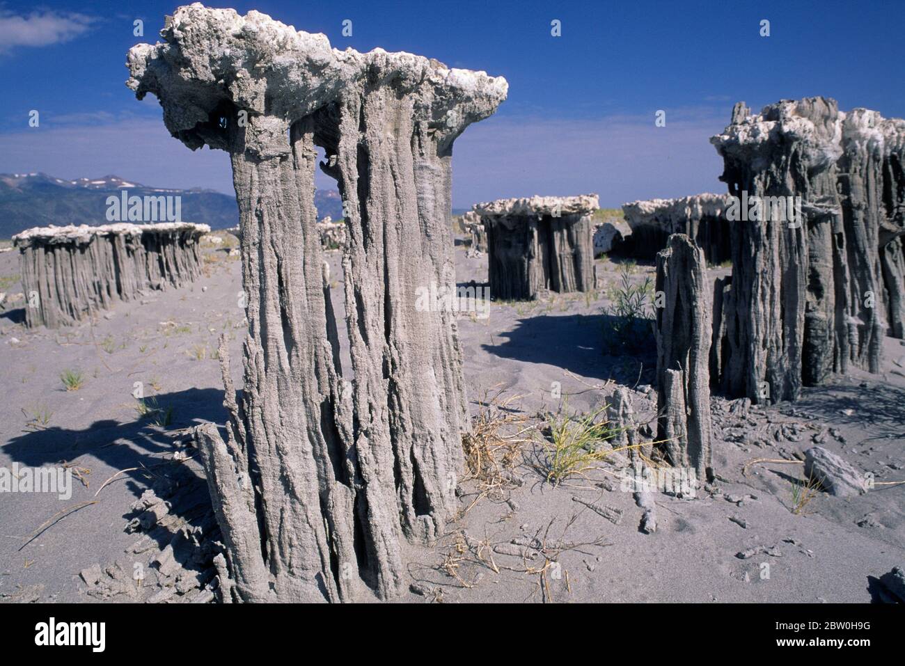 Sand Tuffstein am Mono Lake State Reserve, Mono Basin National Scenic Area, Marine Beach, California Stockfoto