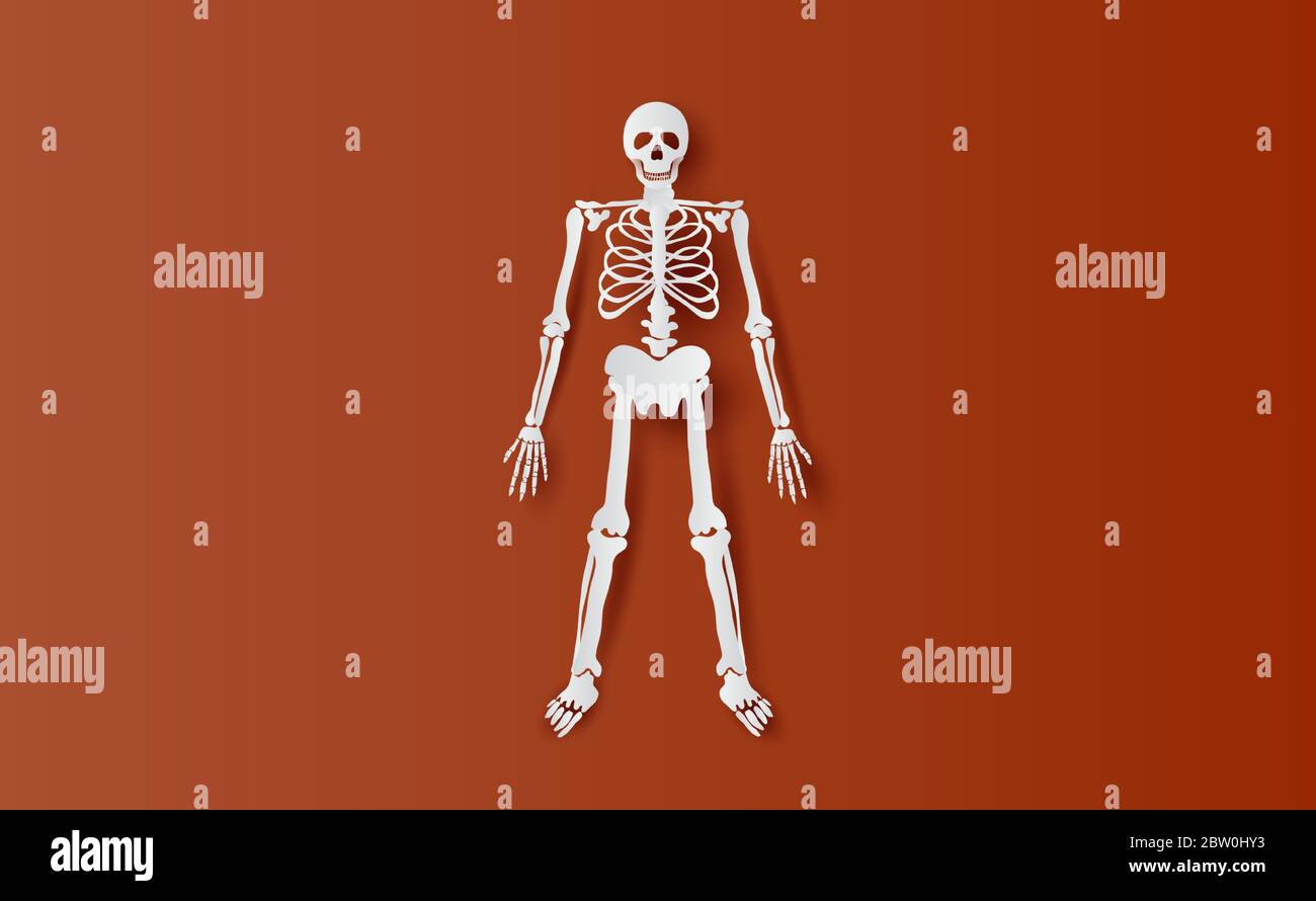 Halloween-Zeichen Skelett einfache Knochen.Symbol auf braunen isolieren Hintergrund.Kreatives Papier geschnitten und Handwerk minimale Szene Ort für Ihren Text.Biologie b Stock Vektor