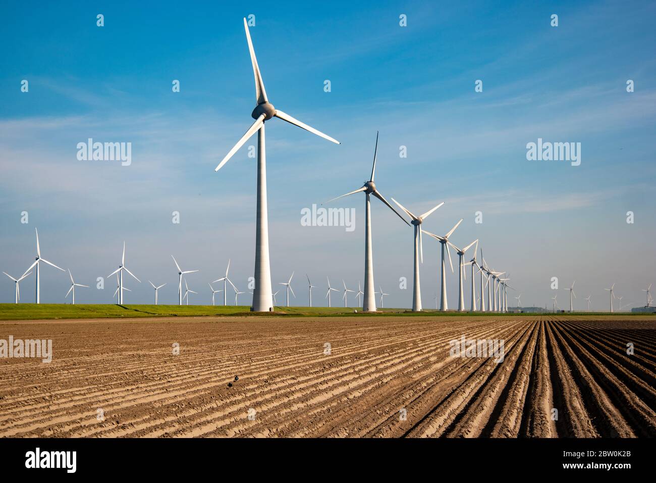 Windmühlenpark westerdijk Niederlande, Windmühlenanlage mit blauem Himmel im Meer, grüne Energie Stockfoto
