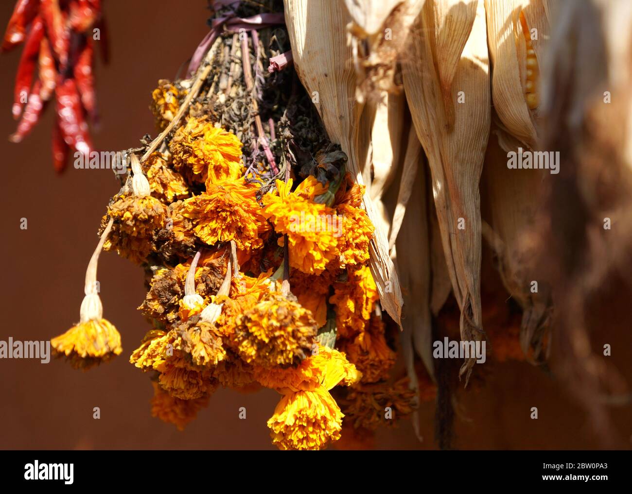 Erntezeit - Gewürze und Blumen werden in ländlichen Nepal zur Erntezeit getrocknet. Stockfoto