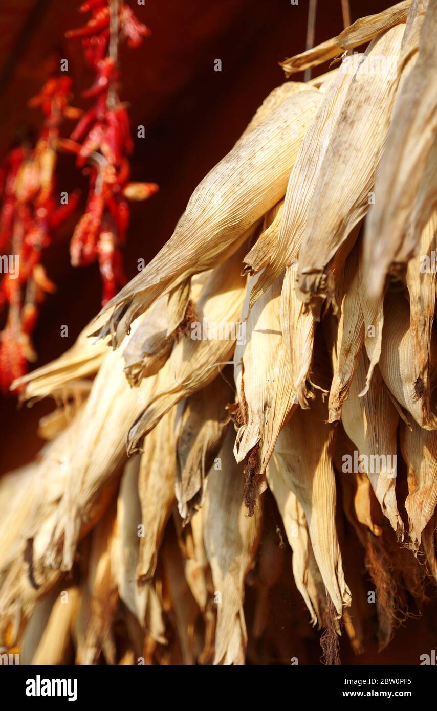 Erntezeit in Nepal - Gewürze und Hühneraugen werden während der Erntezeit im ländlichen Nepal sonnengetrocknet. Stockfoto