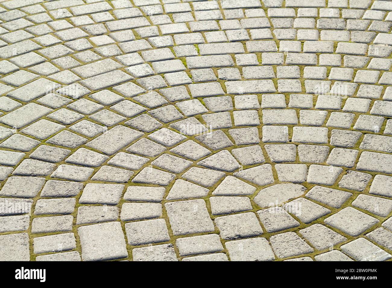 Symmetrisches Muster von Bürgersteig Fliesen mit grünem Moos .Grey Pflaster Stein Textur Stockfoto