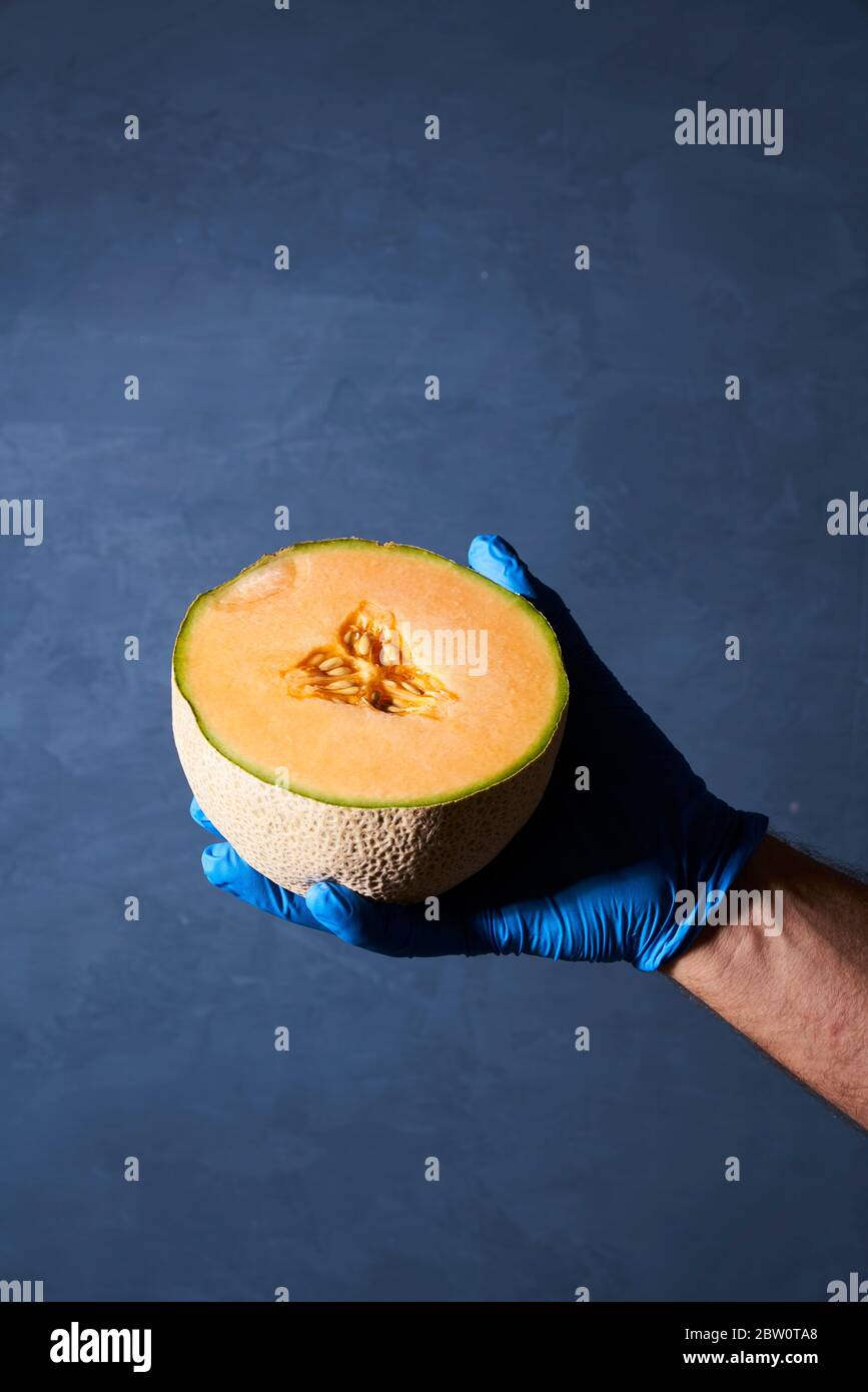 Cantalope Lebensmittel mit Handschuhen gehalten Stockfoto