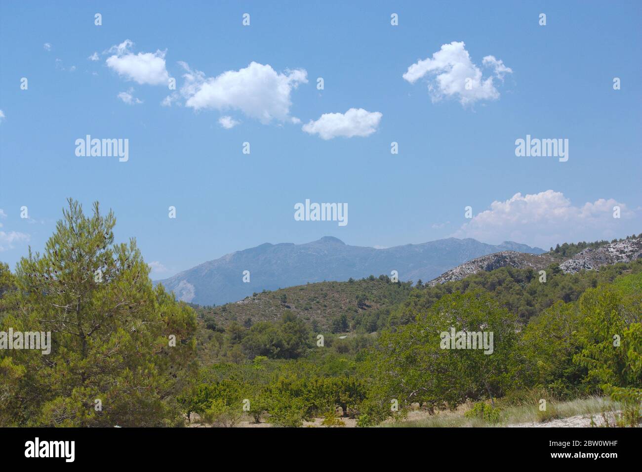 Ländliche Landschaft, wo die Landwirtschaft ist regenernährt und ist mit rustikalen Boden mit Kiefernwäldern und Buschland verwechselt Stockfoto