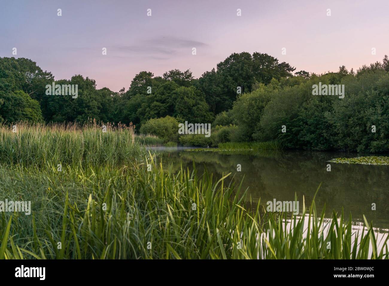 Sonnenaufgang / Sonnenaufgang über dem Ornamental Lake am Common im Frühling, Southampton, Hampshire, England, Großbritannien Stockfoto