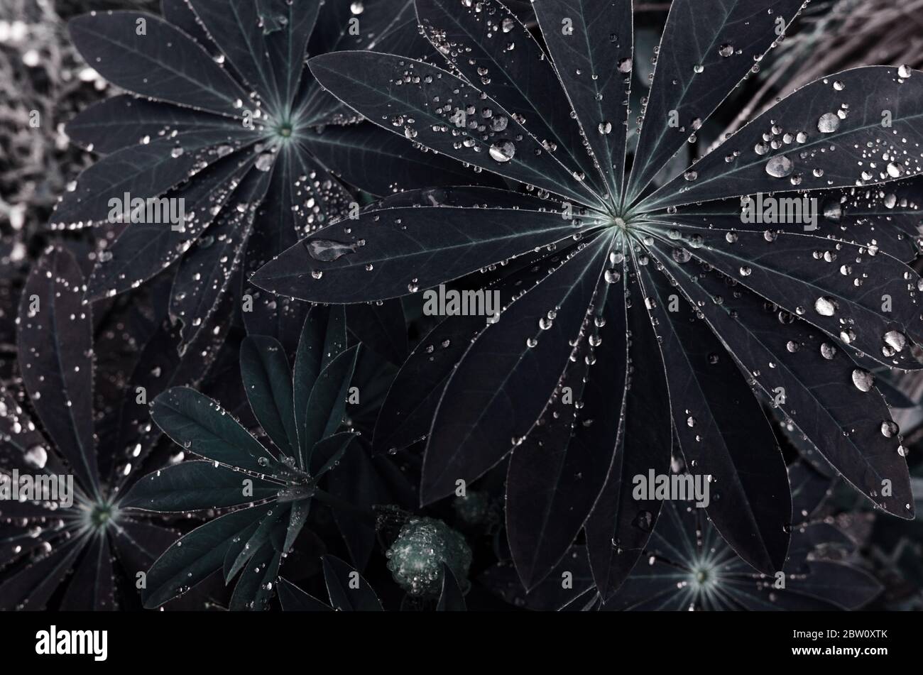 -- Stockfoto