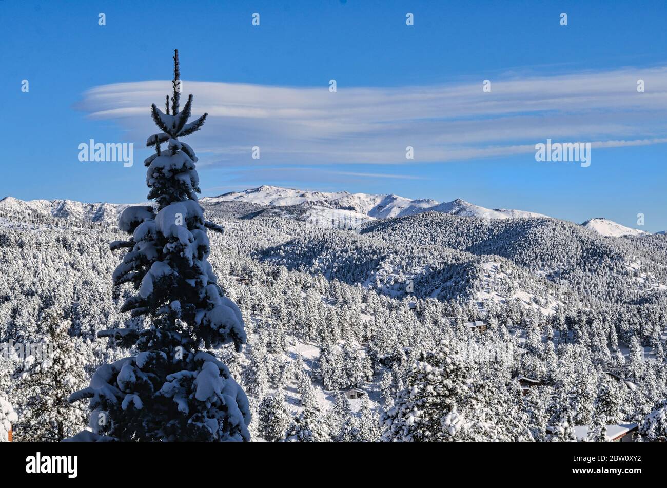 Längliche Lentikularwolke nach Schneefall, Colorado. Stockfoto