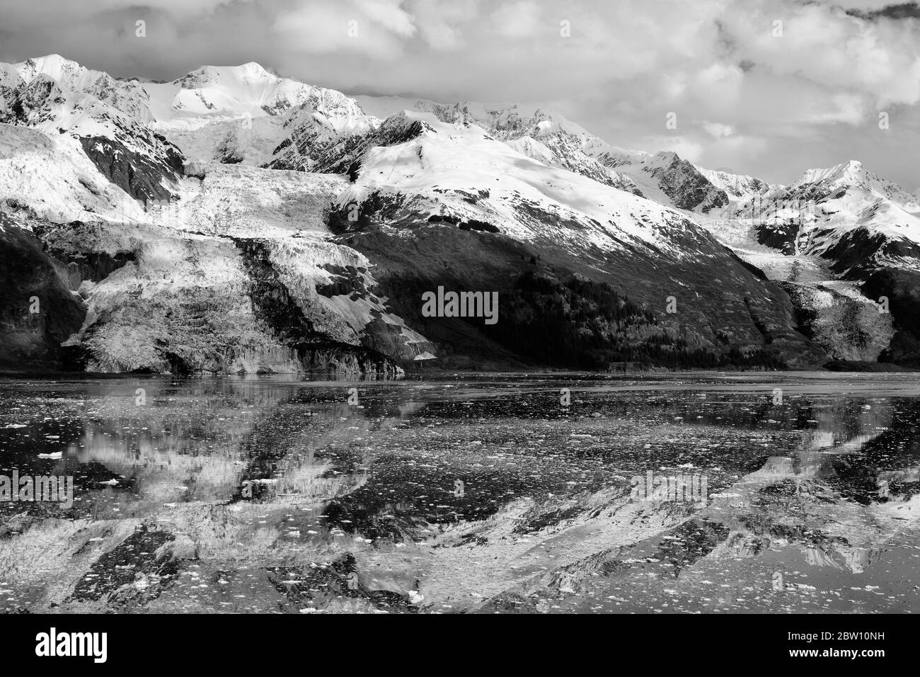 Gletscher im College Fjord, Alaska, USA Stockfoto