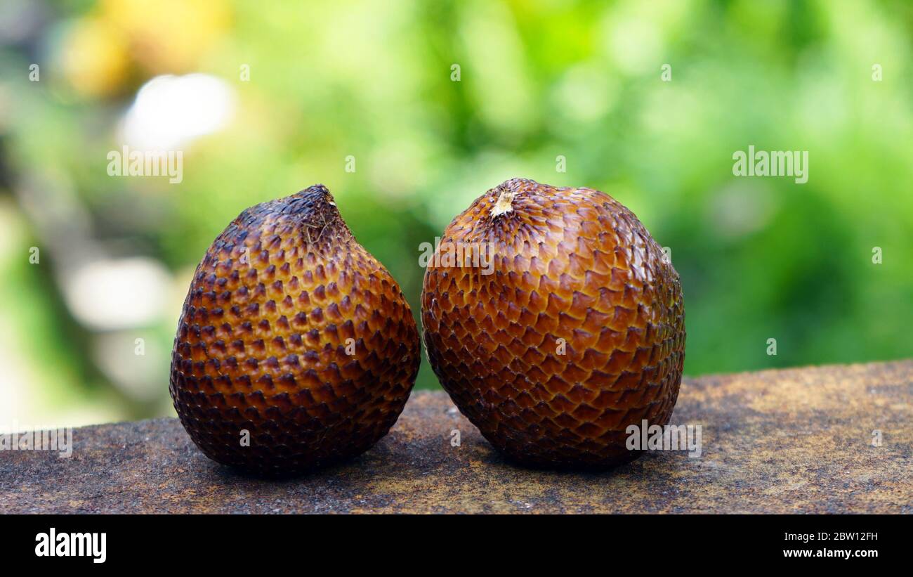 Die Schlangenfrucht auf dem Tisch schließen Stockfoto