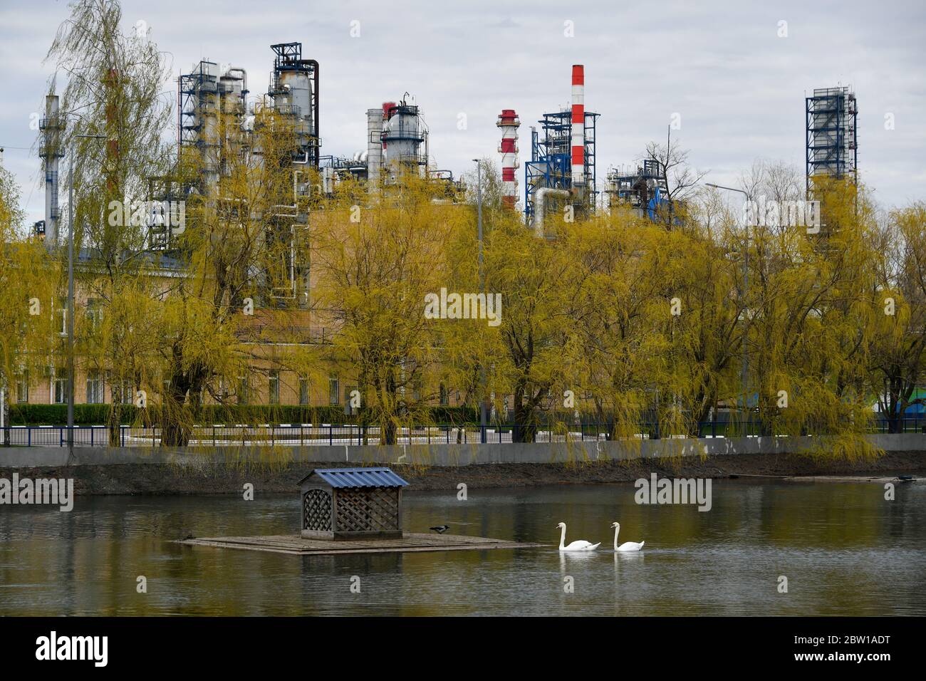 Moskau, Russland. Mai 2020. Teich mit zwei Schwäne und Bäumen und Pfeifen der Moskauer Ölraffinerie im Hintergrund in Moskau, Russland. Stockfoto