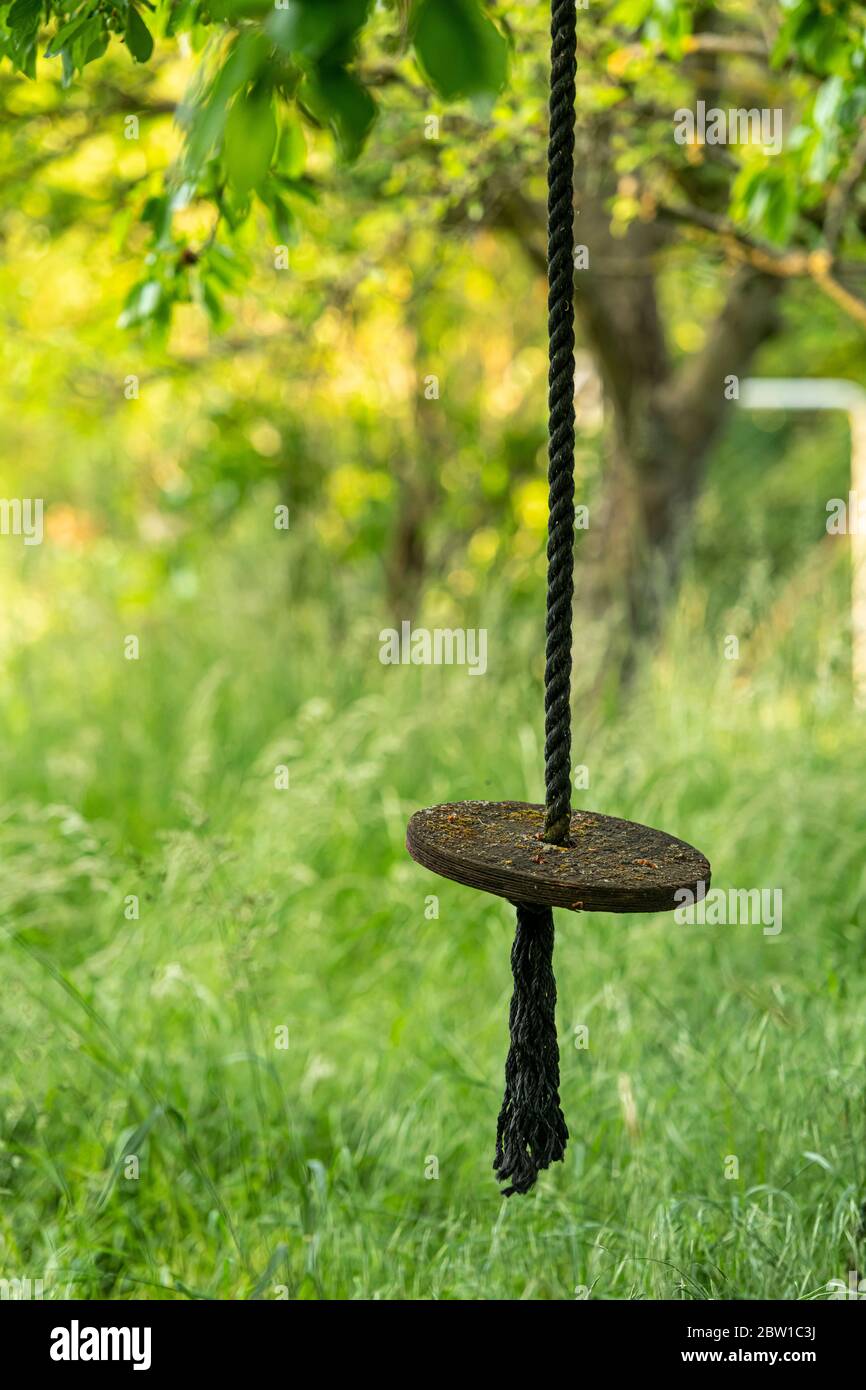 Schaukel von einer Holzscheibe hängt an einem dicken Seil in einem überwachsenen Garten Stockfoto