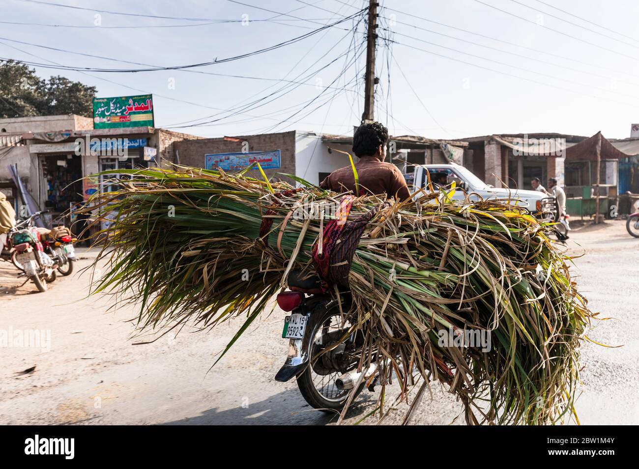 Voll beladen Motorrad mit Zuckerrohr, an der Hauptstraße von Kot Islam Stadt, Khanewal, Punjab Provinz, Pakistan, Südasien, Asien Stockfoto
