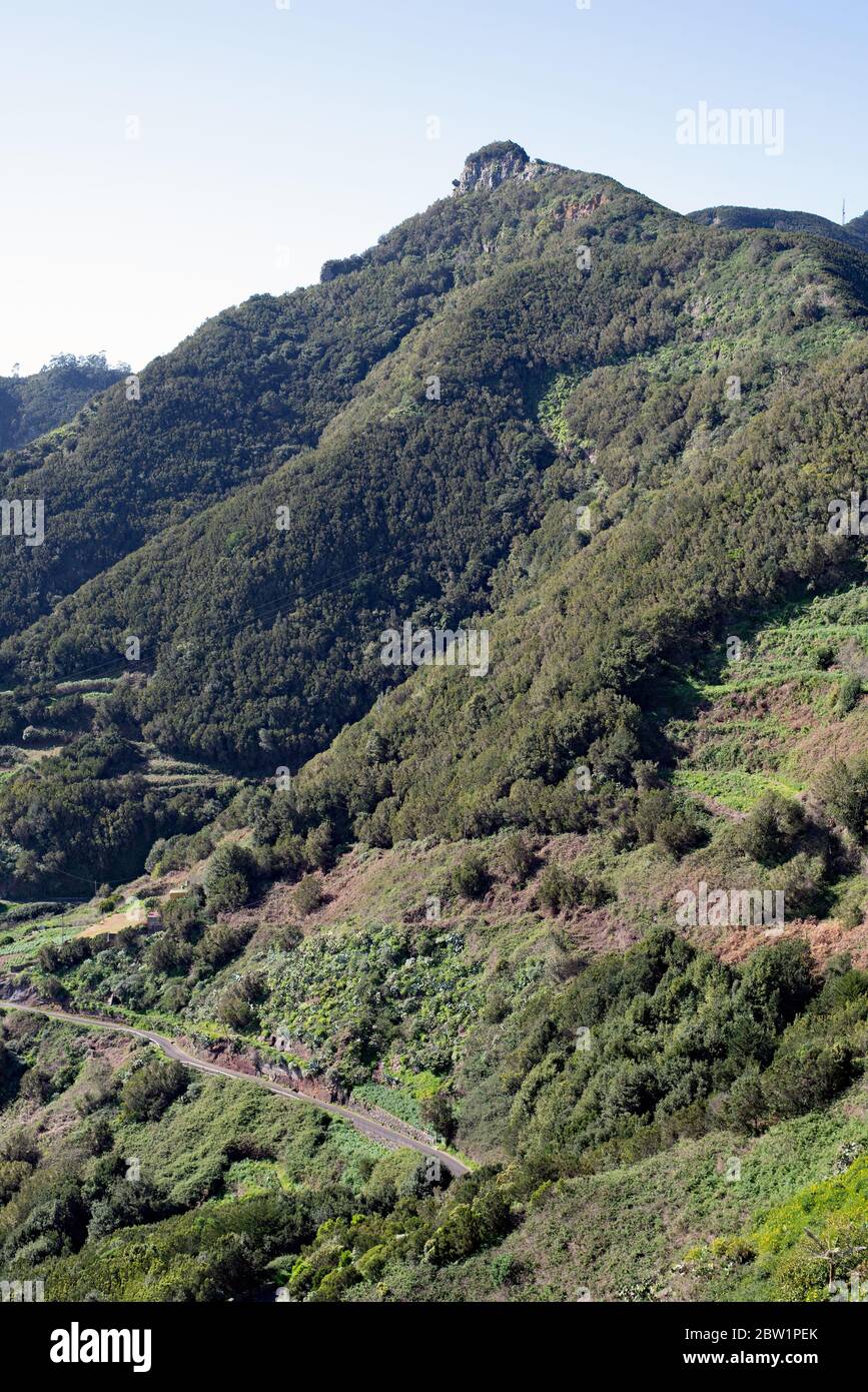 Panoramaaussicht von El Bailadero, Anaga-Gebirge, Tenera, Spanien Stockfoto