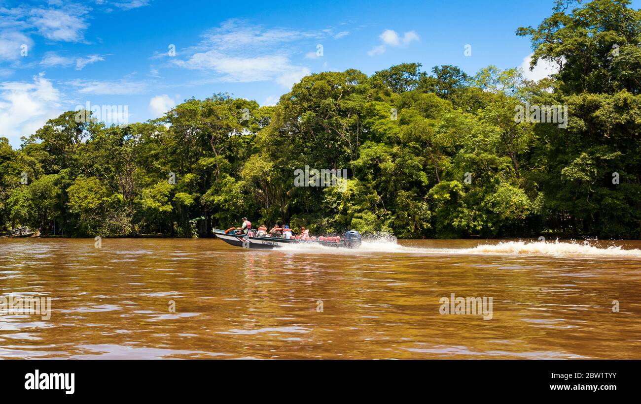Boot auf einem tropischen Fluss. Taxiboot in Betrieb von La Pavona zum Tortuguero Nationalpark, Costa Rica. Suerte River Tortuguero. Stockfoto