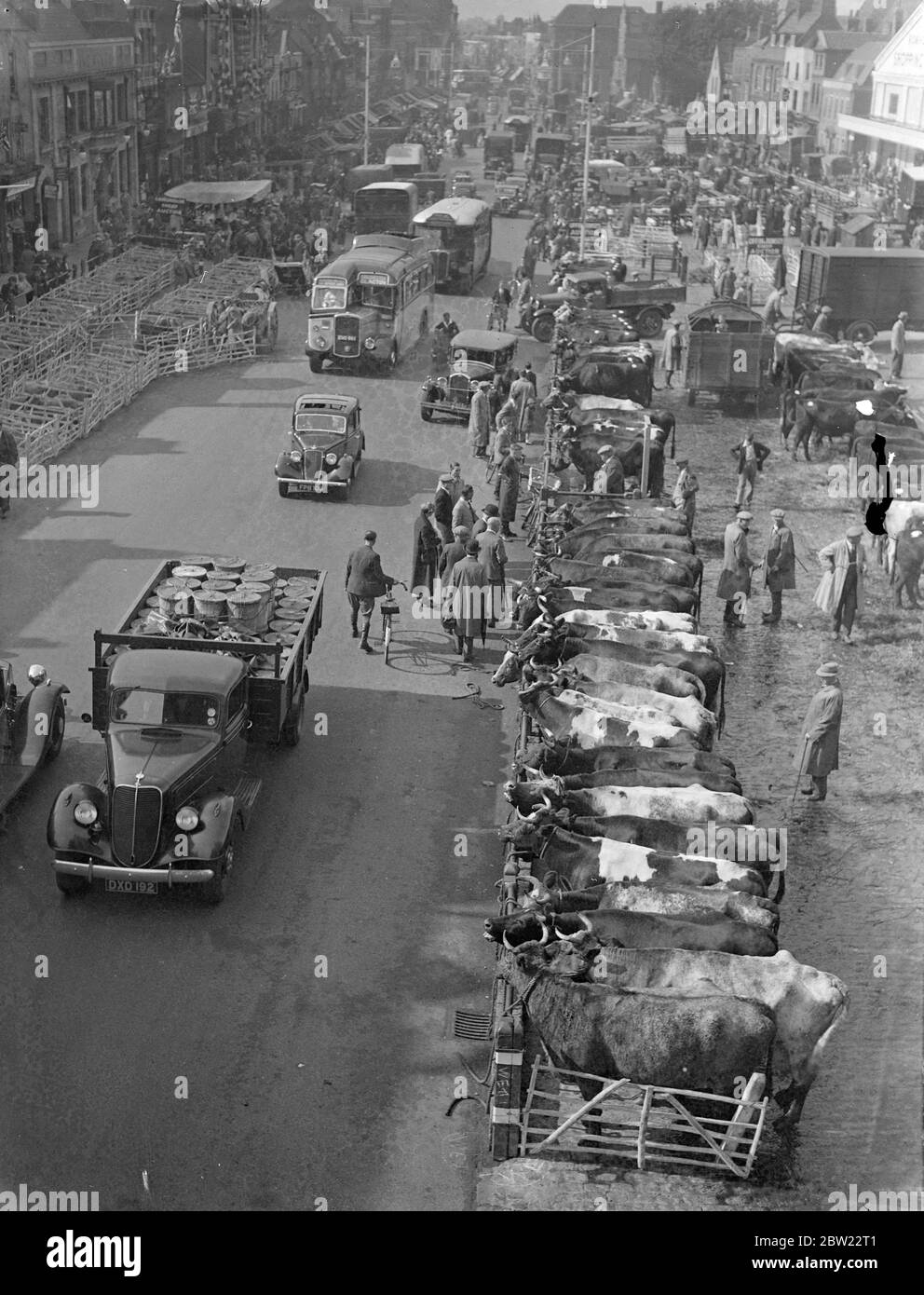 Ein allgemeiner Blick auf den Viehmarkt vor dem stampfenden Bullen, der den Verkehr auf dem Romford-Markt zerstreut. Käufer hatten Visionen von einem Miniatur-roadeo, wenn ein Stier aus seiner Feder während der wöchentlichen Viehmarkt, dass Romford (Essex) und lief in den Verkehr entfloh es wurde nach einer Jagd zurückerobert. 15. September 1937. Stockfoto