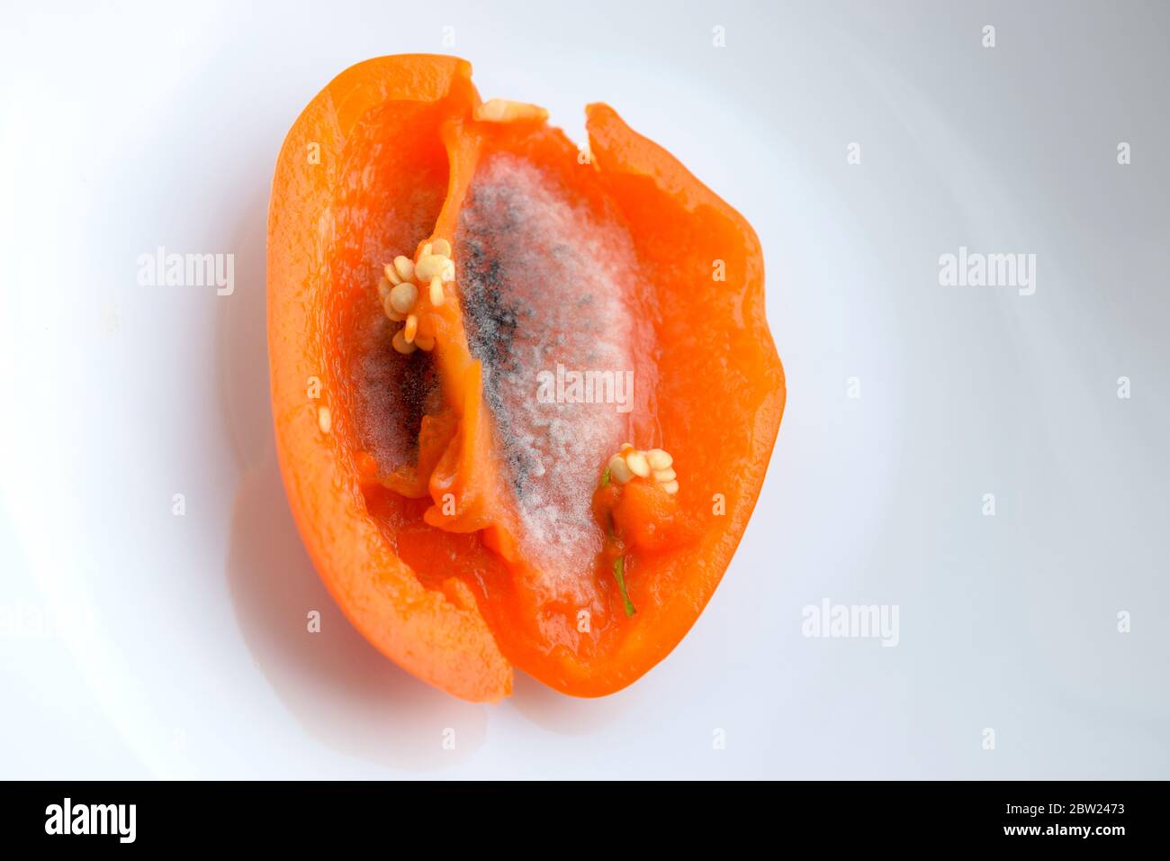 Schimmeliger Pfeffer halb auf hellem Hintergrund. Stockfoto
