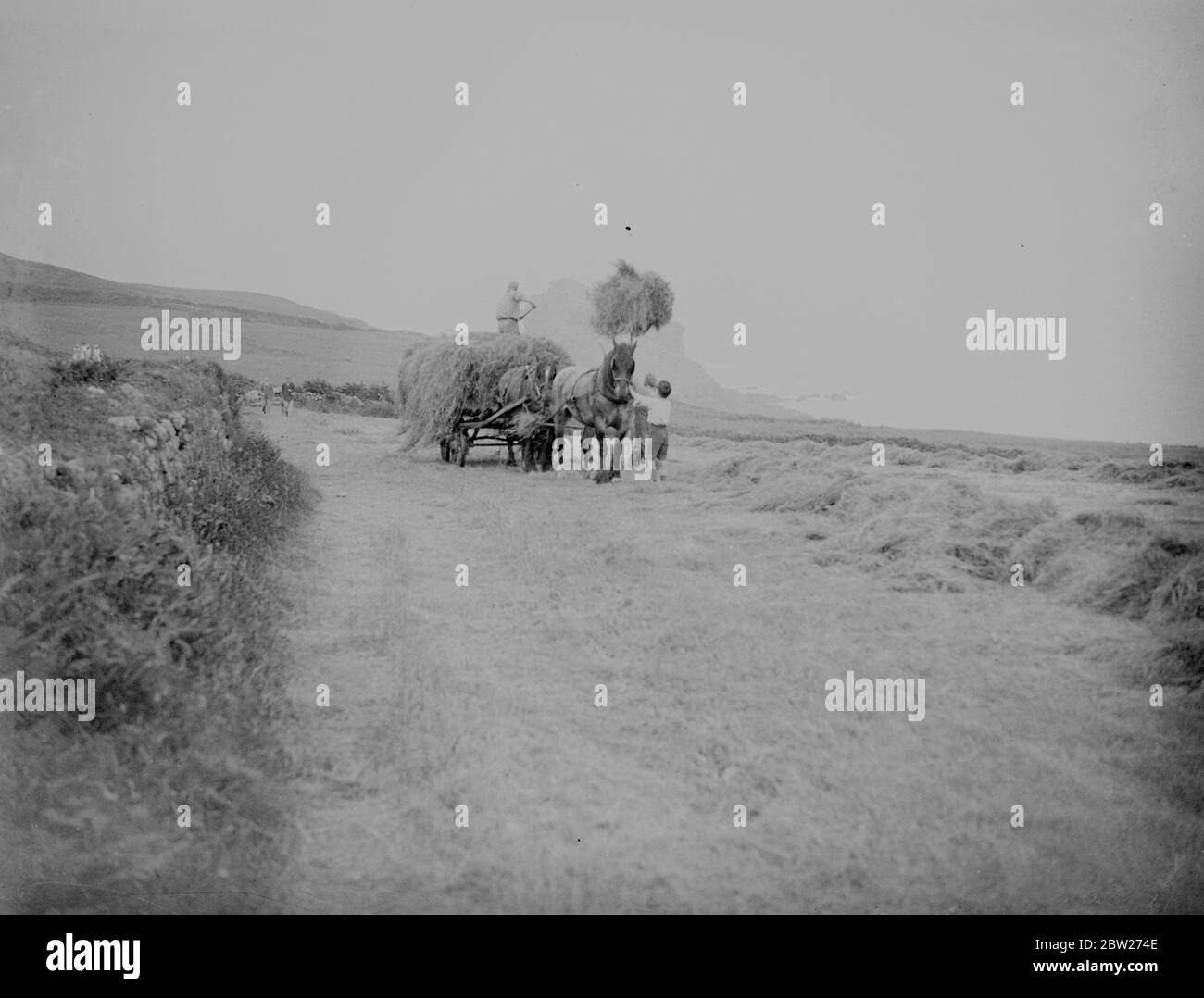 Heumachen, Gurnards Kopf, Cornwall. Pferd, Wagen, Bauer, Pitchfork. 1933 Stockfoto