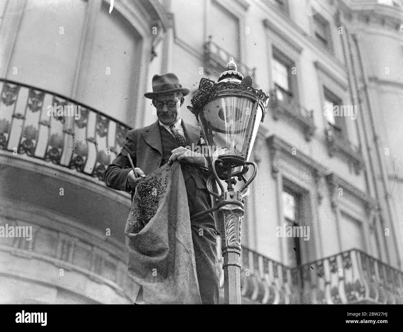 Mr. R Ainslie der Post Office Engineer Cooly entfernte einen Bienenschwarm von Hand, geschätzt auf 15,000 von einem Lampenpfosten auf westbourne crecent Bayswater. Die Bienen verendeten auf dem Verkehr und verursachten ihr Aufsehen unter den Bewohnern. 14 Juli 1937. Stockfoto
