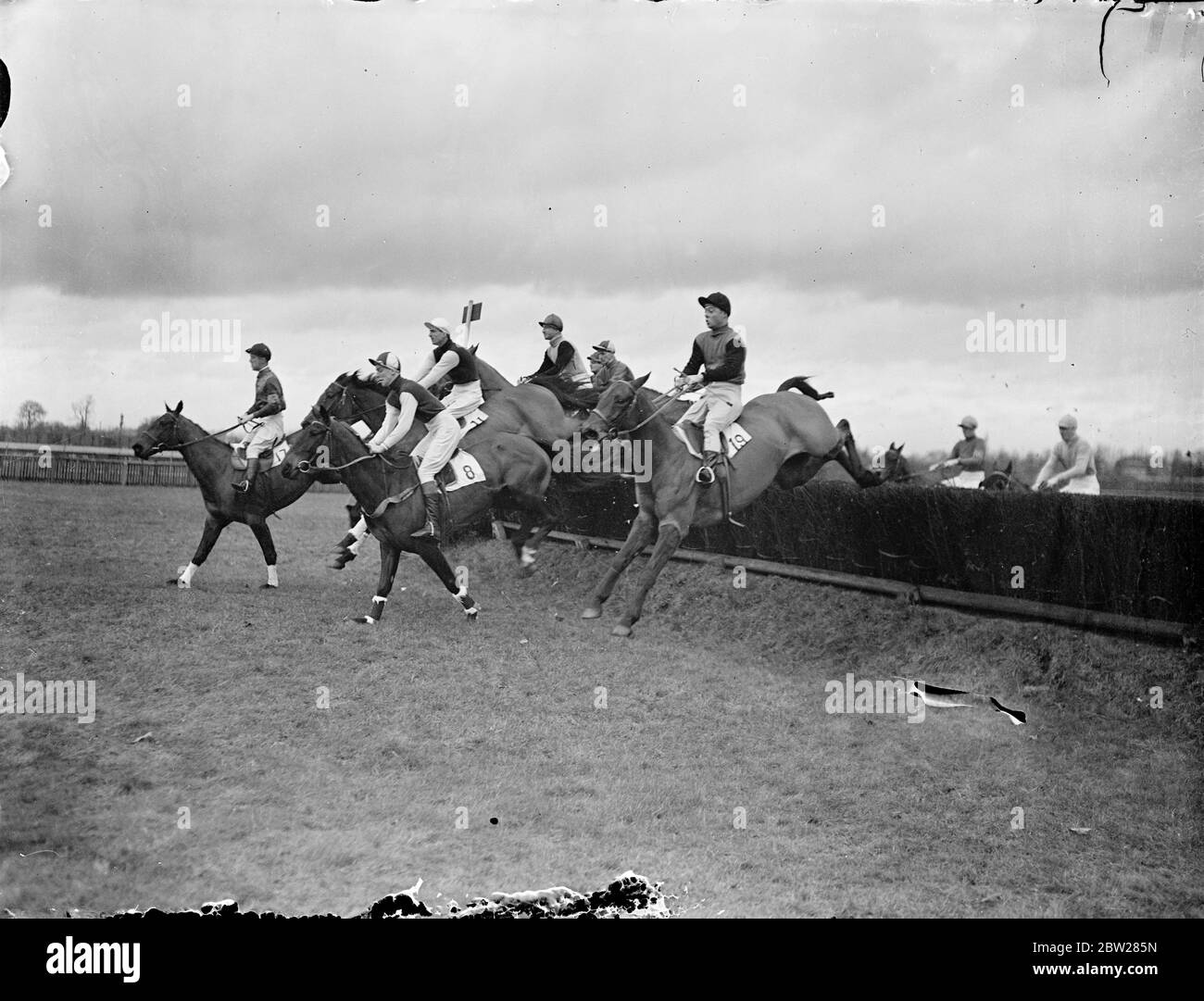 Feld am ersten Zaun bei Sandown. Das Feld unter den ersten Zaun in feinen Stil im ersten Rennen, Ripley Verkauf Handicap Hindernislauf in Sandown Park. 13. Januar 1938 Stockfoto