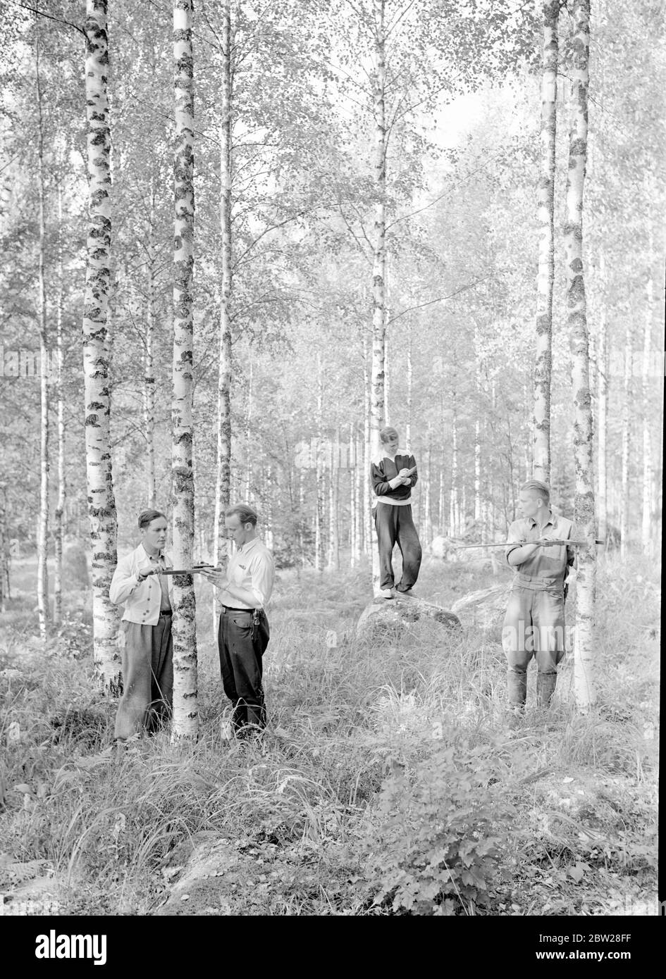 Die größten Förster der Welt. Finnland - Finnisches Alltagsleben Waldakademie Korkeakoski 1939 aus einer Serie Diese Männer bauten die Mannerheim-Linie - die finnische Zone der Grenzbefestigungen wurde vollständig von der finnischen Bevölkerung entworfen und gebaut. Finnische Ingenieure begannen die Arbeit auf der Linie im Jahr 1937, aber es war nicht bis in diesem Sommer im Jahr 1939, dass die Arbeiten beschleunigt und abgeschlossen. Dann, im Bewusstsein der Gefahren einer schwachen Grenze, gaben junge finnische Männer und Studenten ihre Sommerferien auf, um freiwillig beim Bau von Panzerfallen und Befestigungsanlagen zu helfen. Stockfoto