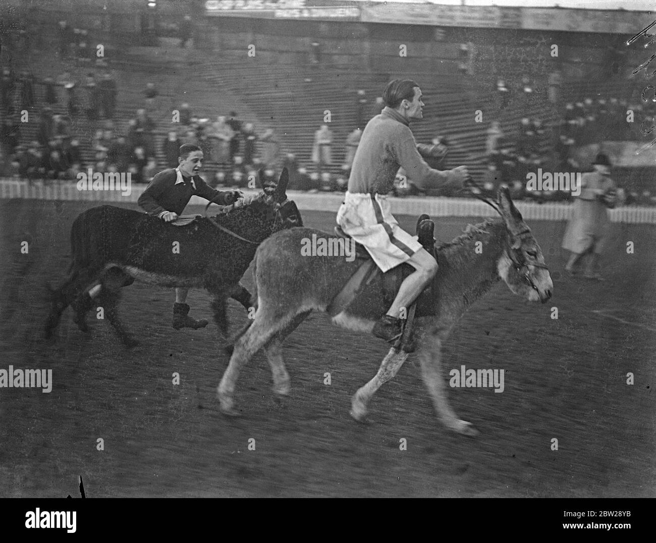 Kings Jockey Fahrten in Donkey Derby. Jockeys, konkurrierten in ihrem jährlichen Esel Derby. Jockeys, konkurrierten in ihrem jährlichen Esel Derby auf Millwall Football Club Ground, New Cross, nach dem jährlichen Boxer gegen Jockeys Fußballspiel in Hilfe der Nächstenliebe. Die Entfernung betrug 100 Yards. Foto zeigt J Crouch, den Kings Jockey (näher Kamera) alle draußen im Esel Derby, als ein anderer Konkurrent neben seinem Mount läuft. 25. Oktober 1937 Stockfoto