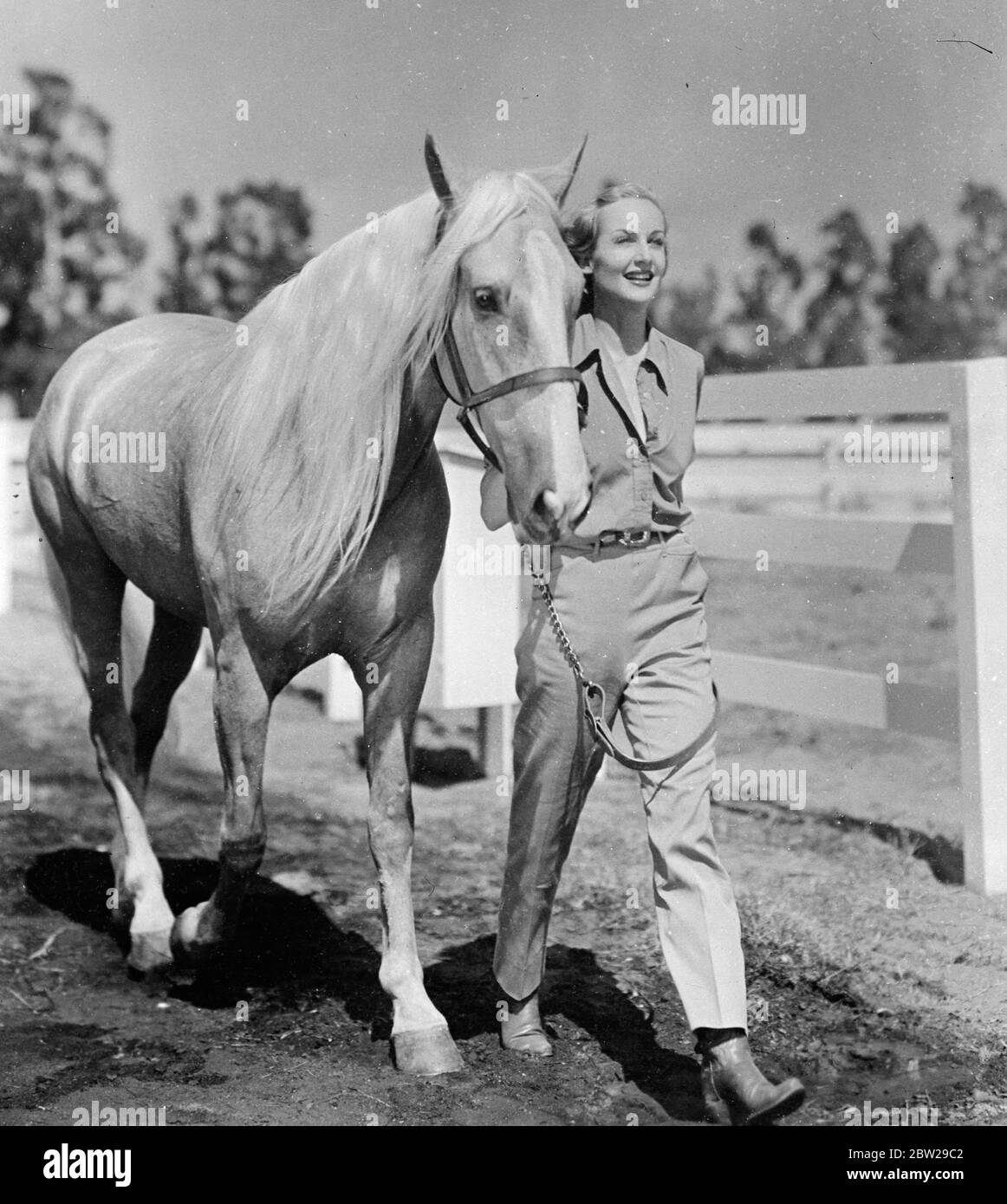 Carole Lombard geht zurück zum Land. Carole Lombard, bekannt als Hollywoods bestgekleidete Frau, lässt stilvolle Kleider zurück, wenn sie auf ihrer eigenen Ranch in Kalifornien, weit weg von den Filmstudios, Urlaub macht. Sie kleidet sich bequem in Bluse und Hosen mit offenem Hals und trat von ganzem Herzen in das Leben der Ranch ein. Foto zeigt Carole Lombard, die ihr Lieblingspferd während eines Urlaubs auf ihrer eigenen Ranch in Kalifornien führte. Stockfoto