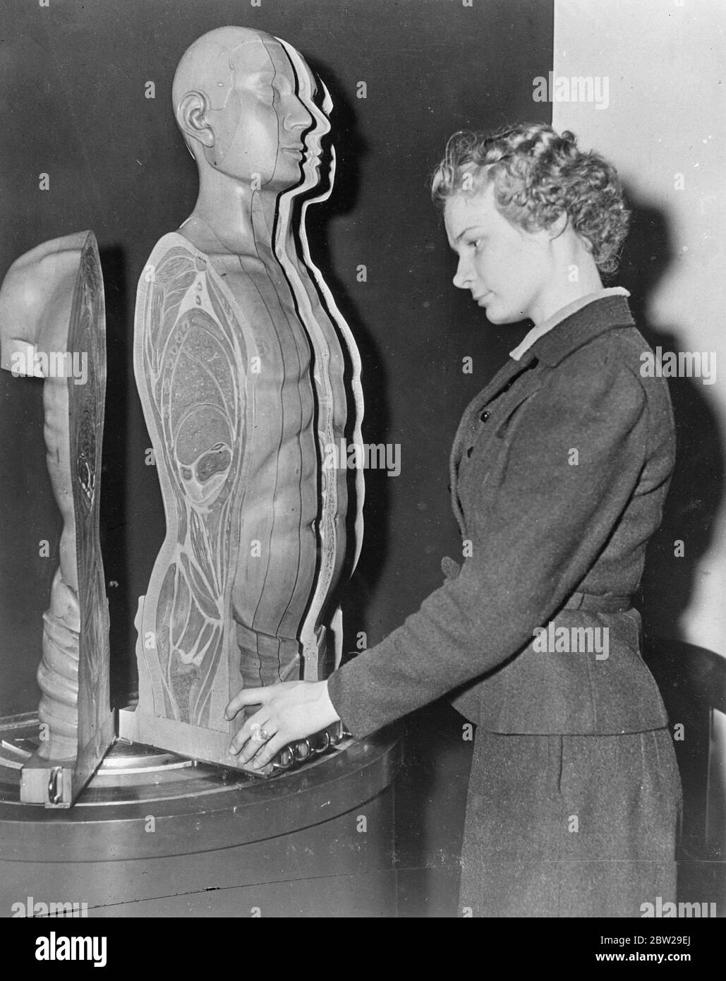 'Die Geschichte des Menschen' - in Buchform. Ein geniales Modell, das in Holzschnitten in Form eines Mannes gebaut wurde, ist im New York Museum of Science and Industry, Rockefeller Center zu sehen. Die Abschnitte des Modells auf einem Drehgelenk und können getrennt werden, um die Zusammensetzung des menschlichen Körpers zu zeigen. Das Modell ist Teil der Ausstellung 'die Geschichte des Menschen'. Foto zeigt, drehen die Abschnitte des Mannes im Museum. Stockfoto