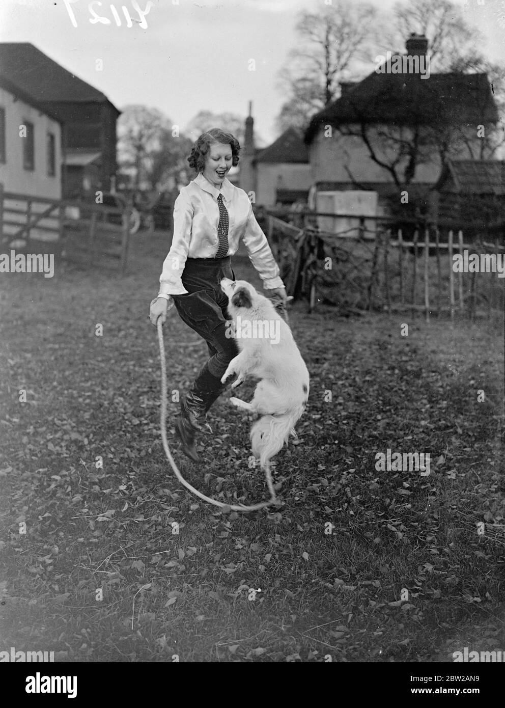 Immer in Trimm für den Zirkusring. Die 16-jährige Olga Astley, eine der jüngsten Tiertrainerinnen Großbritanniens, ist in ihrem Ongar (Essex)-Viertel beschäftigt, um ihren Shetland-Ponys beizubringen und Hunden ihre neuen Acts für die Weihnachtsvorstellung und den Zirkus aufzuführen. Viele von Olga's Tiere erscheinen in Handlungen im ganzen Land. Foto zeigt Olga Astley 'Skippy'Wenden Sie sich mit dem Seil zusammen in Ongar. 14. November 1937 Stockfoto