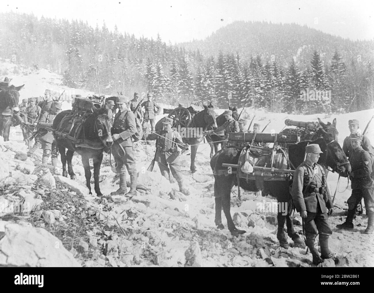 Deutsche Armee auf Wintermanövern. Eine leichte Bergbatterie, die nach einer schwierigen Strecke des Berges und schneebedecktem Land ruht 12. Februar 1931 Stockfoto