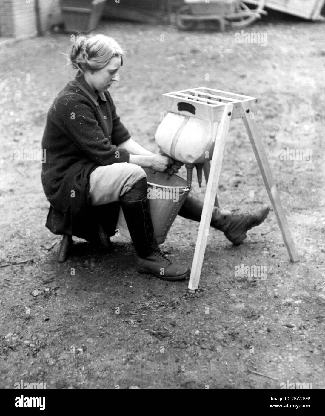 Milchmaids, die im Rahmen des National Service Scheme im Epping Forest ausgebildet werden, lernen, auf der Dummy-Kuh Milch zu bekommen. Juli 1917. Stockfoto