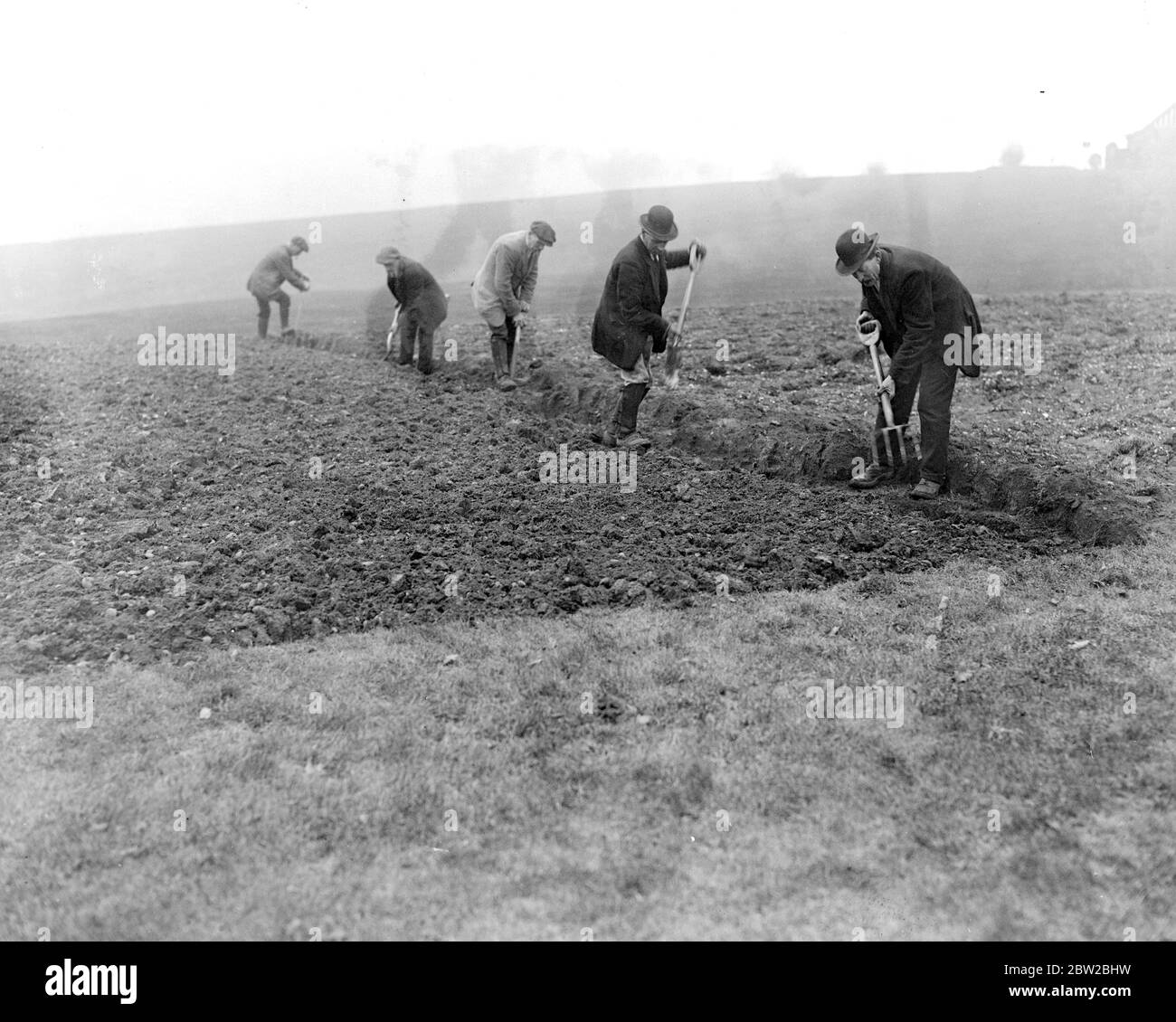 Highgate Golf Club. Mitarbeiter bei der Arbeit auf dem Grundstück, das Gemüse für das Clubhaus 26 Februar 1917 zu liefern ist Stockfoto