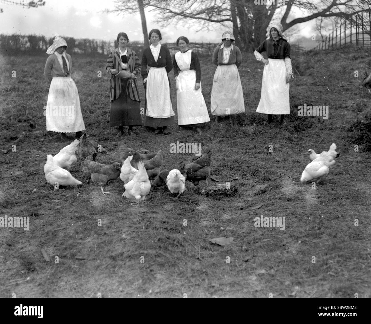 Farmerinnen bei Sparsholt, Hampshire 1914-1918 Stockfoto
