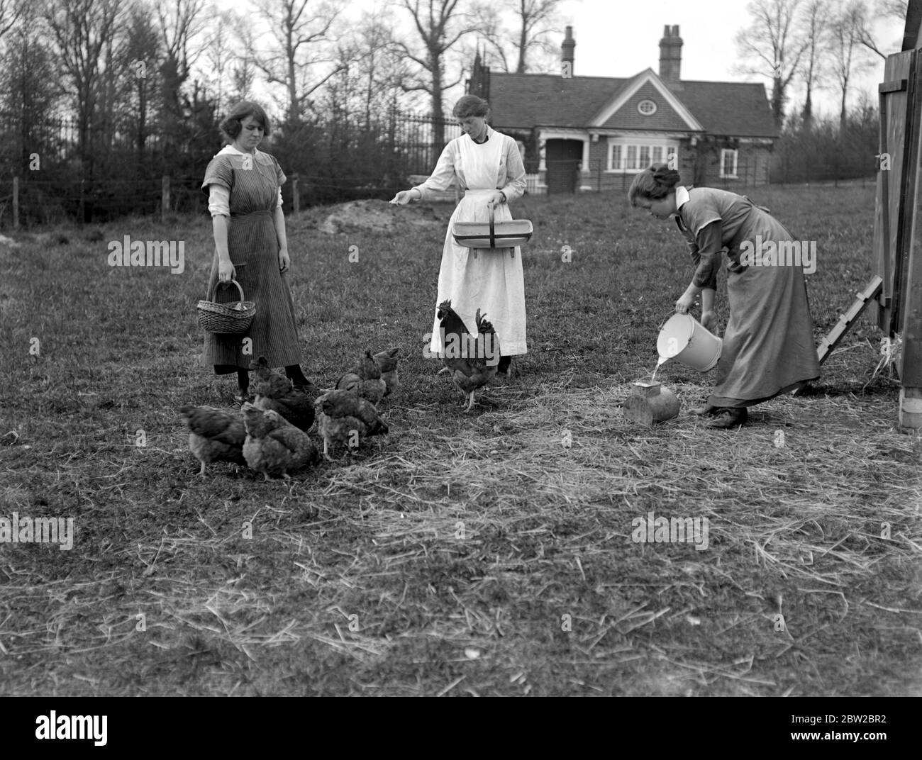 Frauen Bauern auf der Hoebfridge Farm, Woking. 1914-1918 Stockfoto