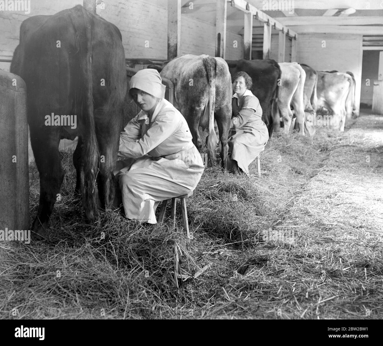 Frauen Bauern auf der Hoebfridge Farm, Woking. 1914-1918 Stockfoto