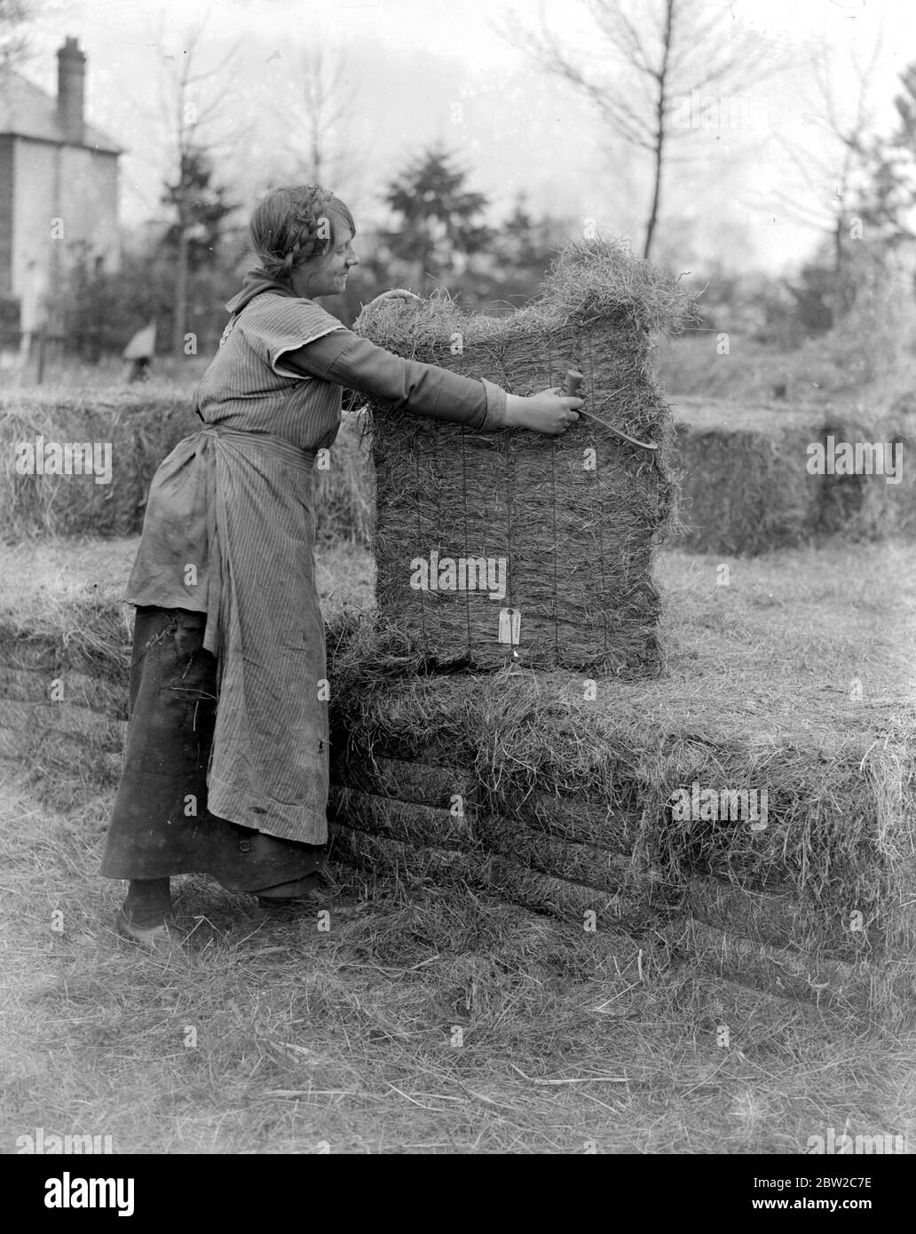 Frauen unterstützen A.S.C. Futterabteilung, Shepperton. 1914-1918 Stockfoto