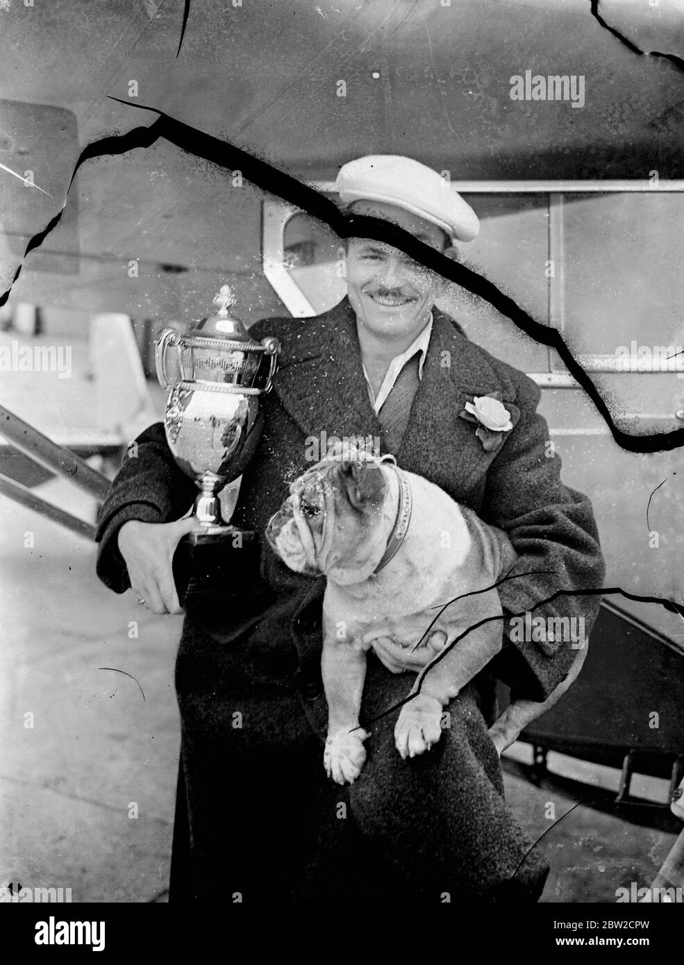 Eine Krone, die eines mehrfachen Hundechampions würdig ist - ein Platin- und Diamanthalsband - wurde von Herrn Jimmy Knode seinem alles erobernden Bulldog, Champion Bosworth Queen, überreicht. Bosworth Queen, der bereits 10 englische Meisterschaften in der Schweiz ausgetragen hat, hat gerade zwei irische Titel gewonnen - in Cork und Ballymena. Sie machte separate Reisen mit dem Flugzeug nach Irland und zurück, um an den Shows teilzunehmen, insgesamt flog sie etwa 3000 Meilen. Bosworth Queen, die in ihrer Rasse ungeschlagen ist, ist auch als Reisender wohl ungeschlagen. Sie ist 20,000 Meilen auf See, Luft, Bahn und Straße gereist und fünf Monate auf der Suche nach Show-Ehre Stockfoto