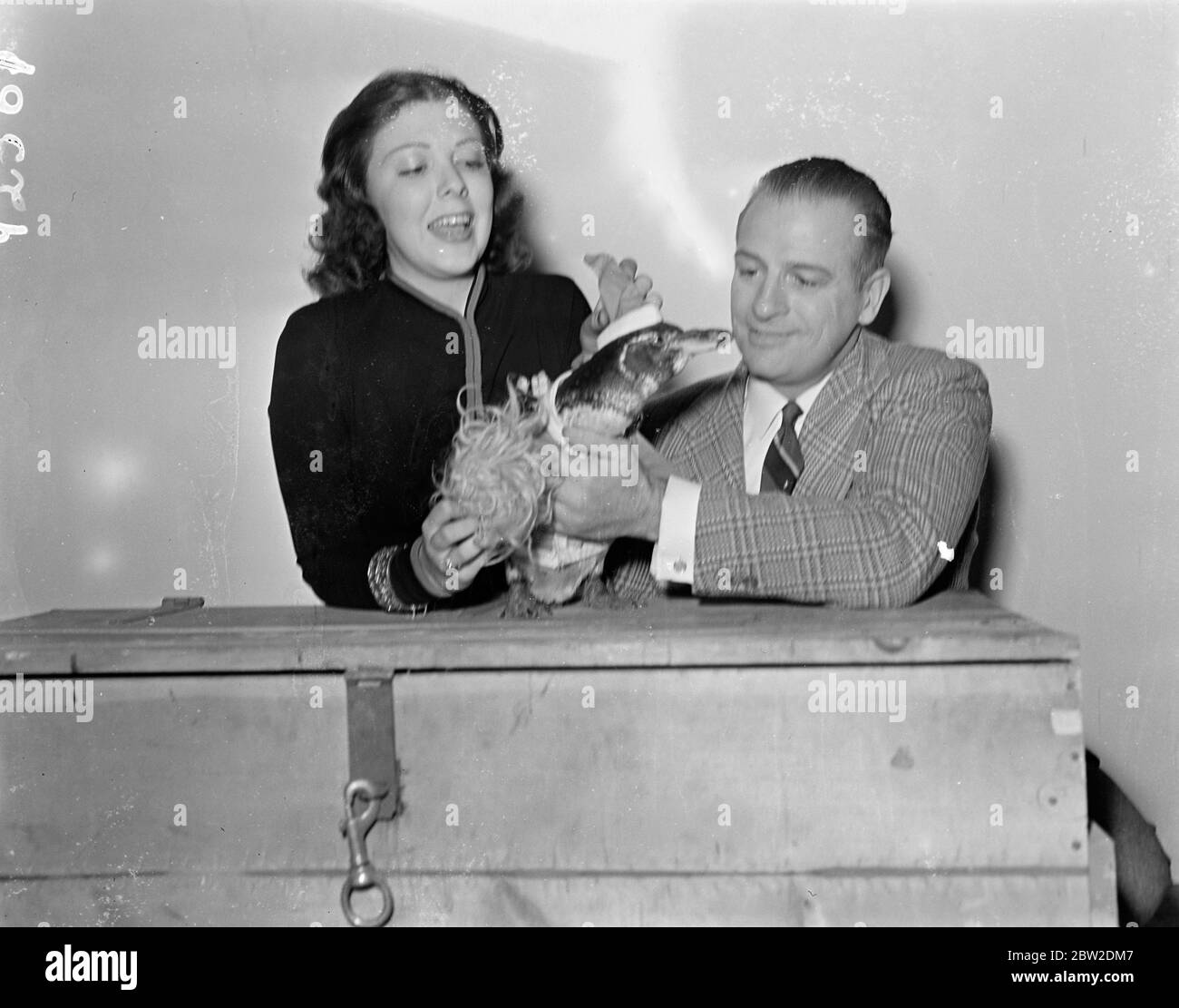 Der Weihnachtsmann 'Penguin Pete', verkleidet als Weihnachtsmann, besucht Reginald Denny und Dorothy Howe, Mitdarsteller am Set von 'Bulldog Dummond's Gefahr'. John Barrymore, Paramount, Meister des Make-up, lehrte 'Pete', wie man die Fettfarbe aufsetzt und jetzt ist John im Penguin Haus, weil Reginald und Dorothy sofort ihr Bild erkennen 1. Januar 1938 Stockfoto