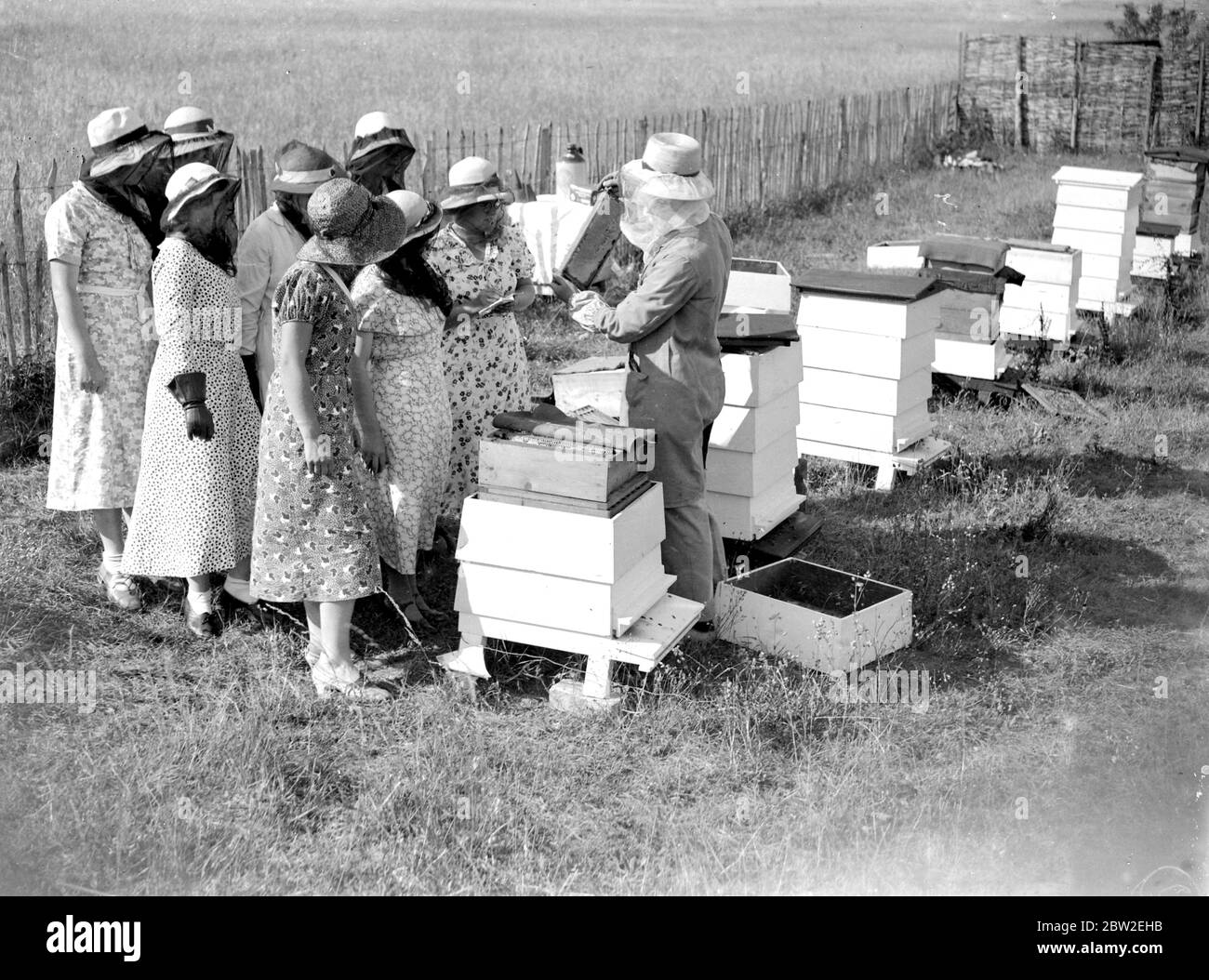 Swanley College Mädchen in Bienenausbildung. 1934 Stockfoto