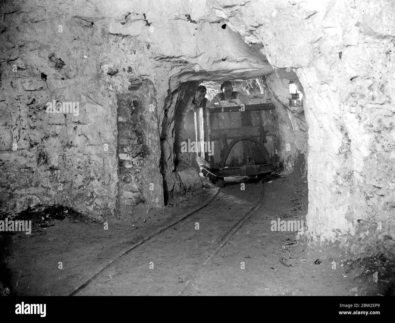 Pilze (Chislehurst Caves). 1934 Stockfoto