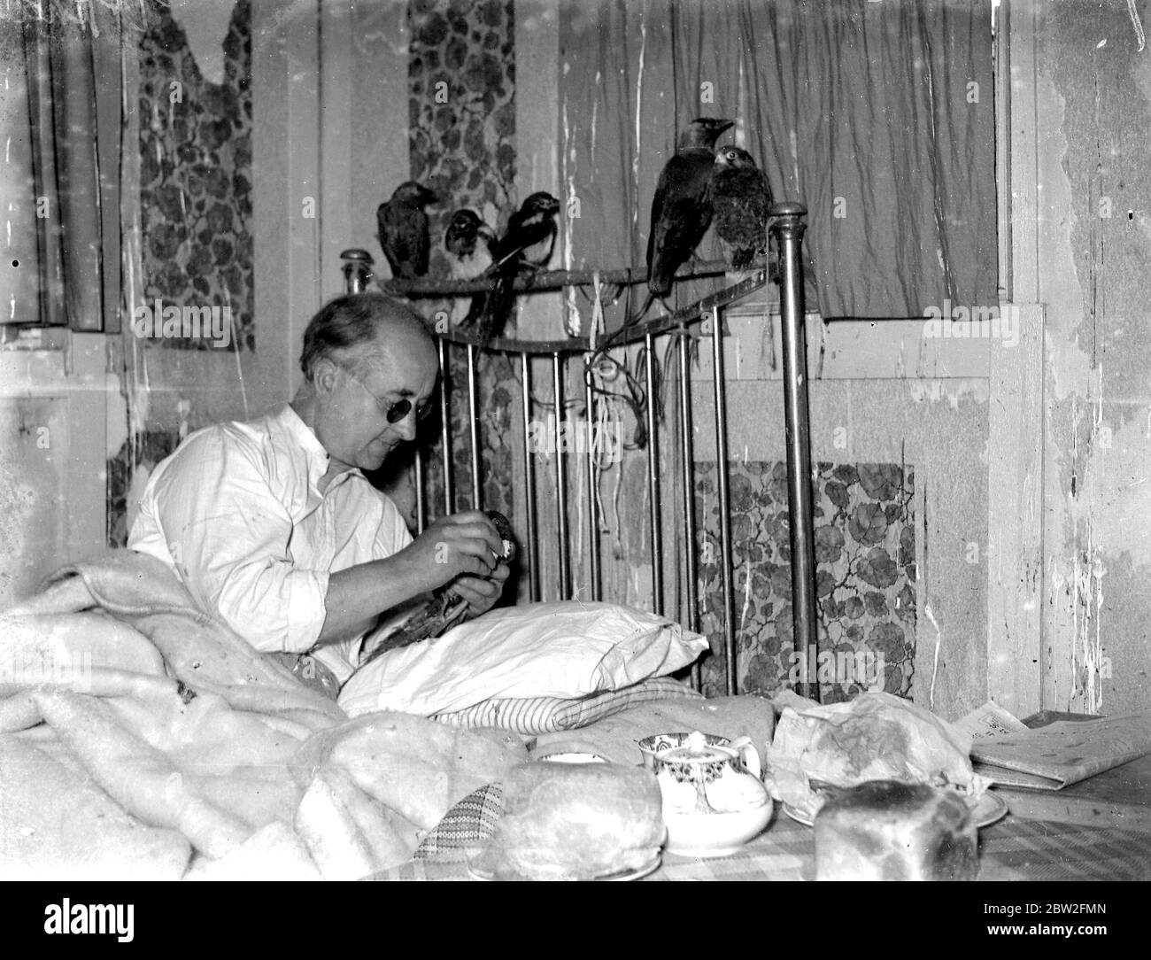 Birdman, Bexley Smith im Bett. 1934 Stockfoto