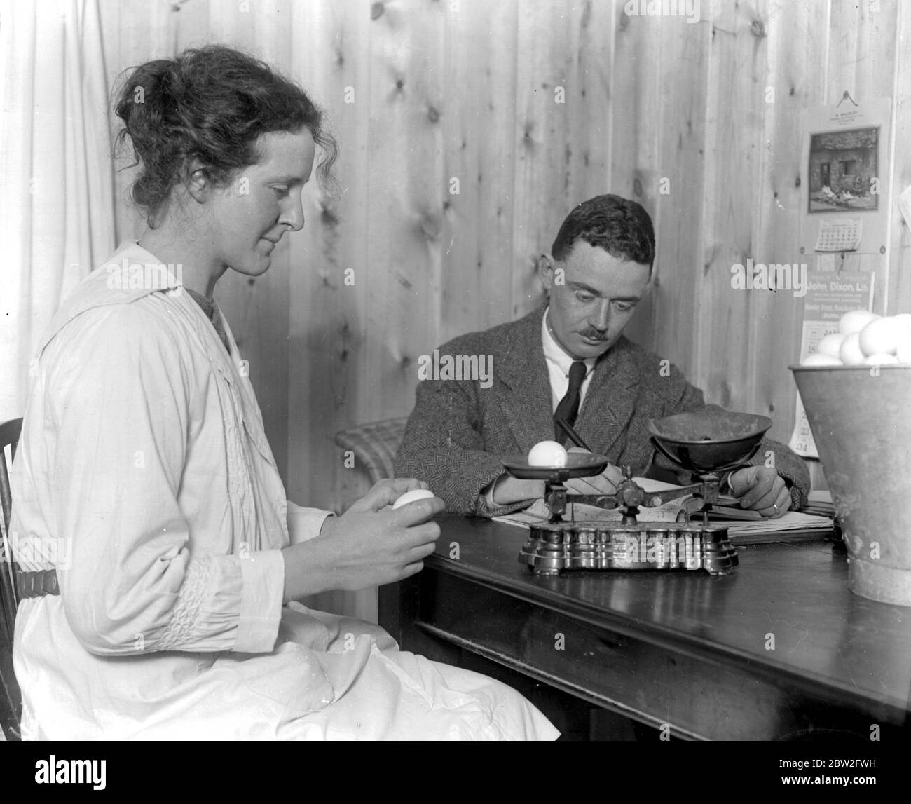 Great Eastern Poultry Farm bei Bentley (Suffolk). Februar 1920 Stockfoto