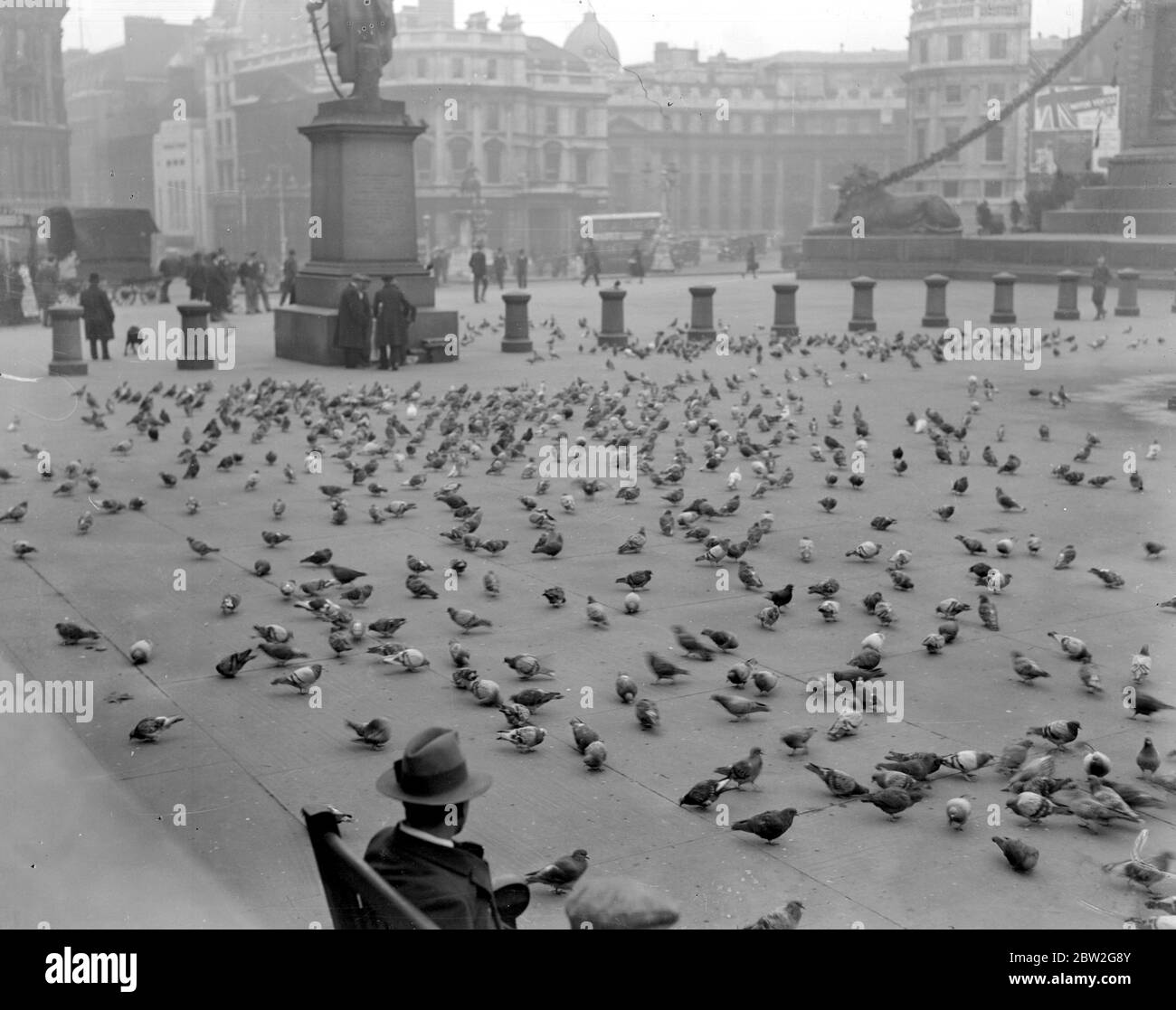 Trotz des Ausdünnungsprozesses der letzten Zeit sind die Tauben auf dem Trafalgar Square immer noch zahlreich. London, 20. Oktober 1931 Stockfoto