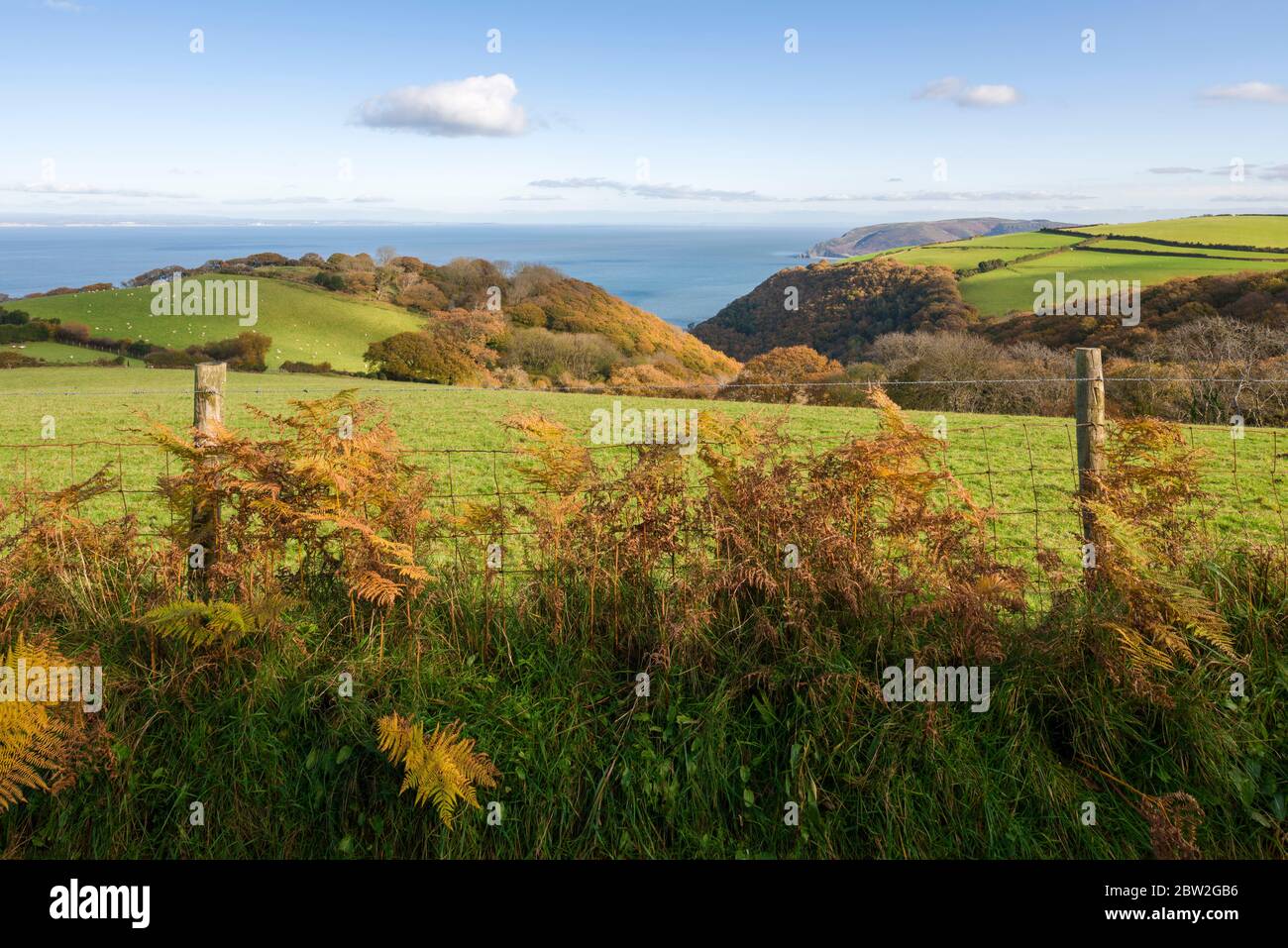 Herbstblick über Withy Combe und den Bristol Channel von der Yearnor Mill Lane im Exmoor National Park in der Nähe von Porlock, Somerset, England. Stockfoto