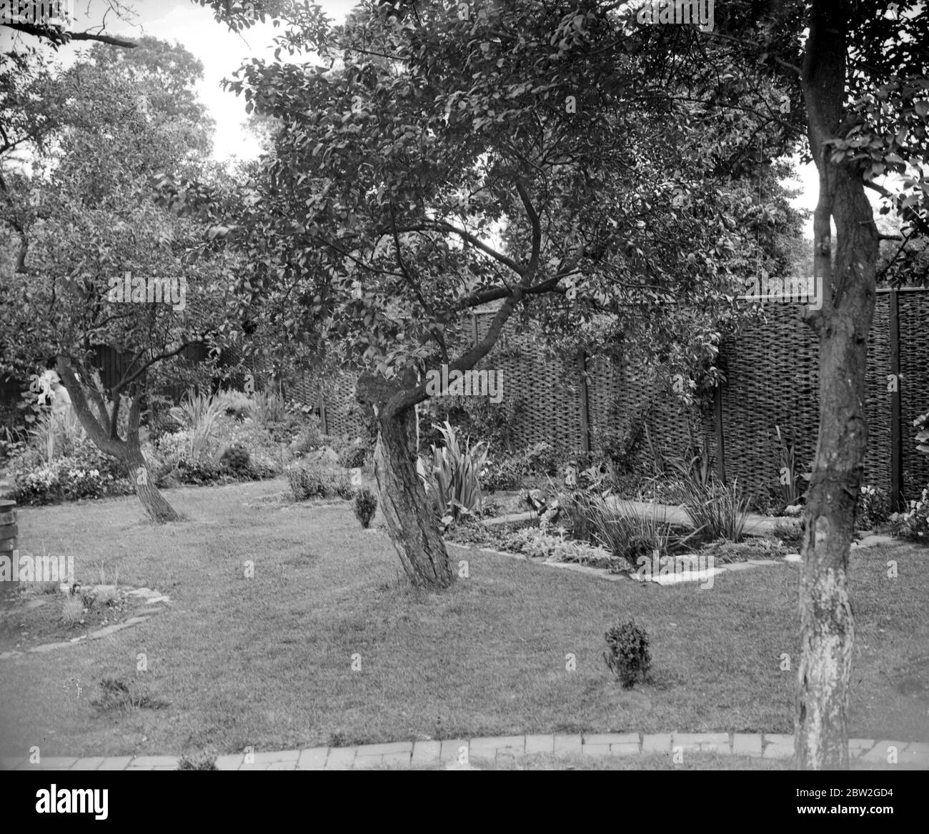 Garten. Pear Tree Cottage, The Rise, Ewell. 16 Juni 1929 Stockfoto