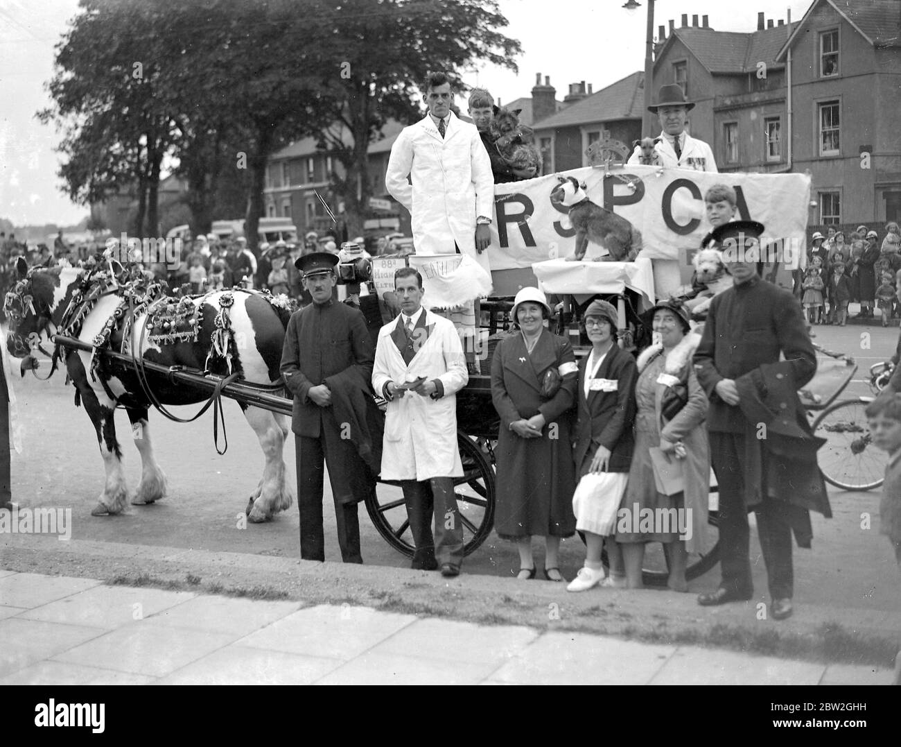 Eltham Karneval in Kent. R.S.P.C.A. Prozession. 1934 Stockfoto
