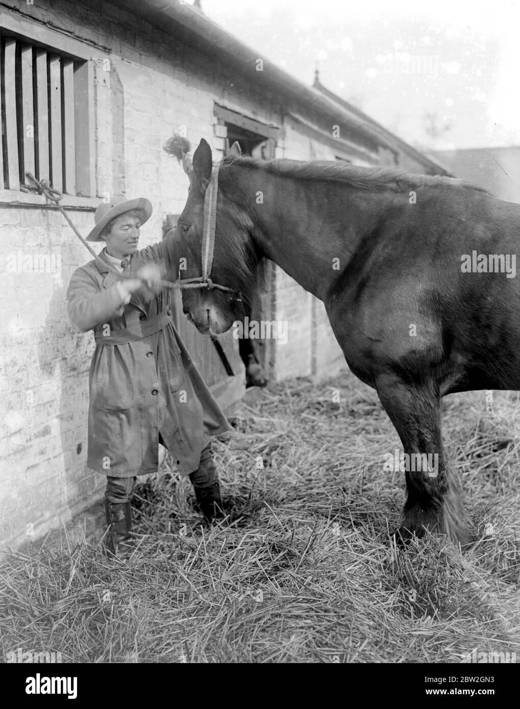 Girton als Schule der Landwirtschaft. 1917 Stockfoto
