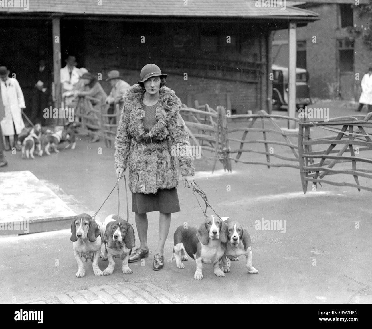 Basset Hound Show im White Lion Hotel, Banbury. Hon Frau ED. Greenall mit ihren vier Hunden Lodestar, Liberty, Comedy, Tragedy, mit denen sie den Challenge Cup für die besten beiden Paare gewann. 24. oktober 1934 Stockfoto