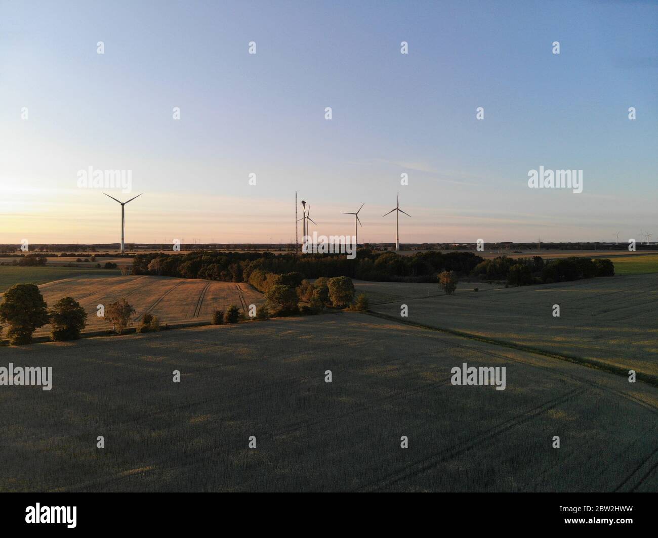 Luftaufnahme von Windenergieanlagen auf Weide im ländlichen Raum bei Sonnenuntergang Stockfoto