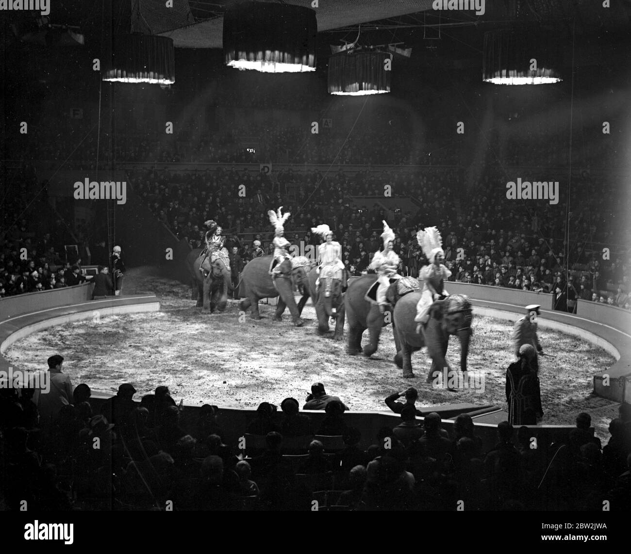 Bertram Mills' Christmas Circus im Olympia. Elefanten. 21 Dezember 1937 Stockfoto