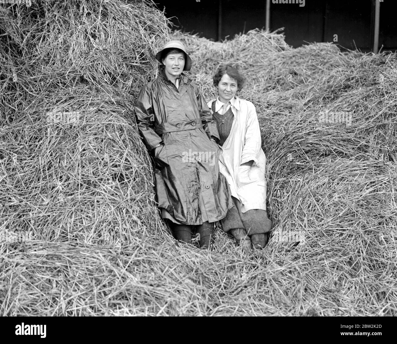 Girton als Schule der Landwirtschaft. 1917 Stockfoto